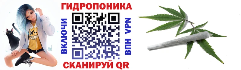 Бошки марихуана гибрид  KRAKEN зеркало  Острогожск 